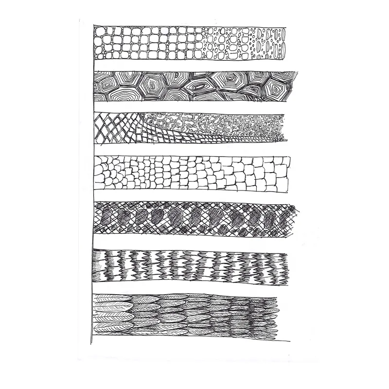 Shapes / Dynamic Shapes